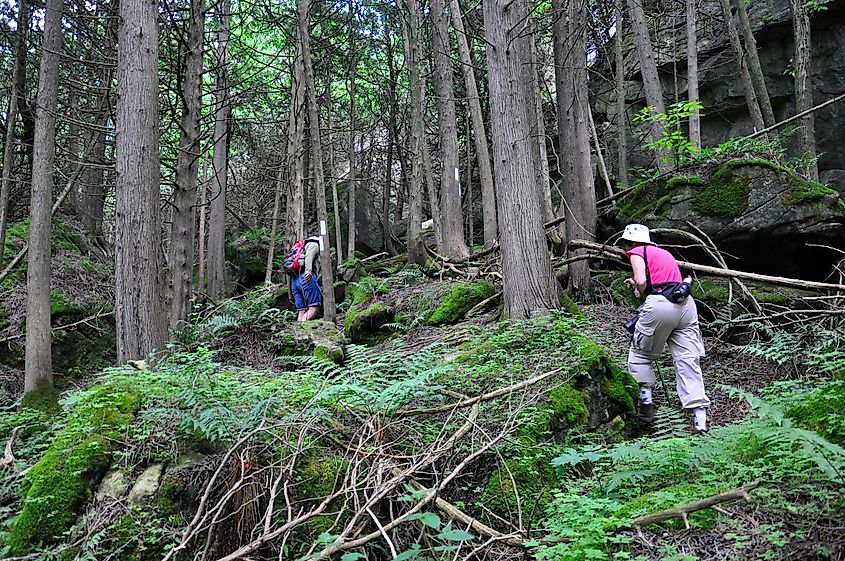 Hikers on the Bruce Trail. Image by Bob Hilscher via Shutterstock.com