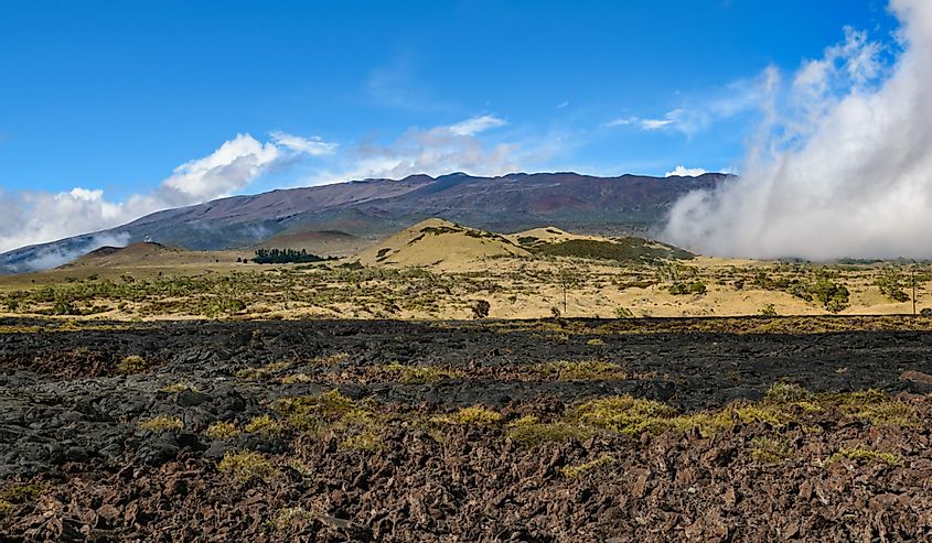 A volcanic landscape, with rocks in the foreground and a mountain behind. A bank of cloud is rolling in from the left. It is the Mauna Loa volcano on Hawaii's big island, seen from the saddle road.