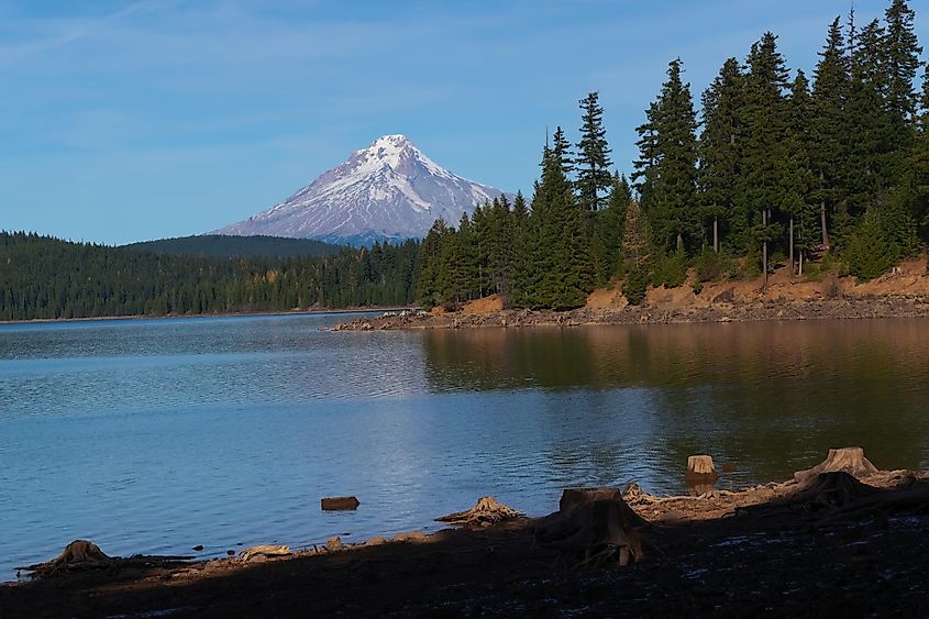 A view from the south side of Timothy Lake of Mt. Hood
