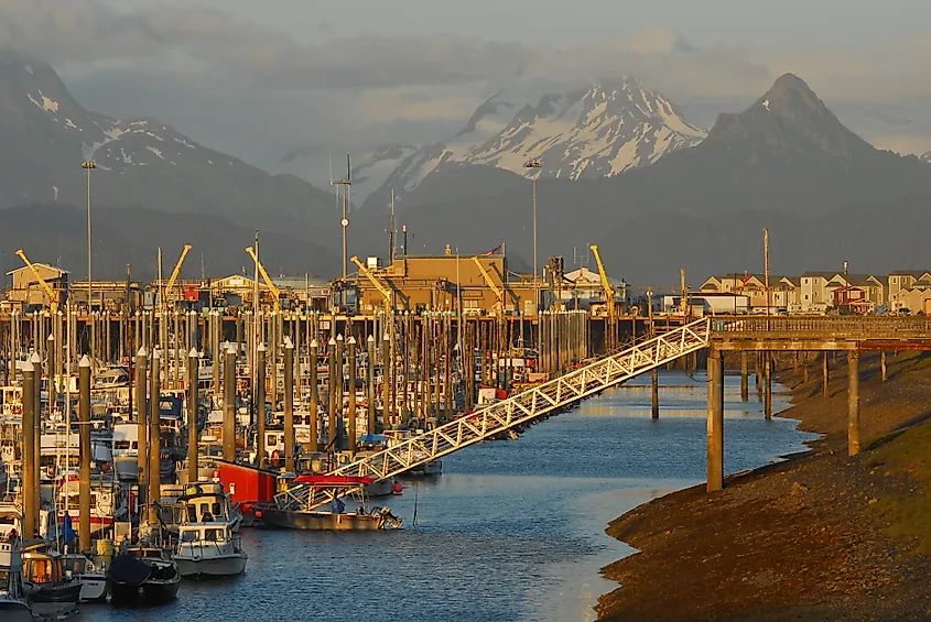 Harbor in Homer, Alaska