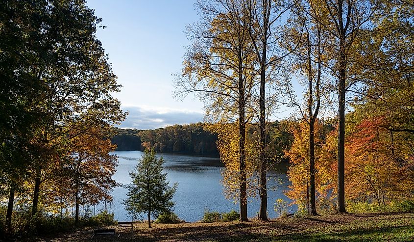 An autumn morning at Seneca Creek State Park in Gaithersburg, Maryland.