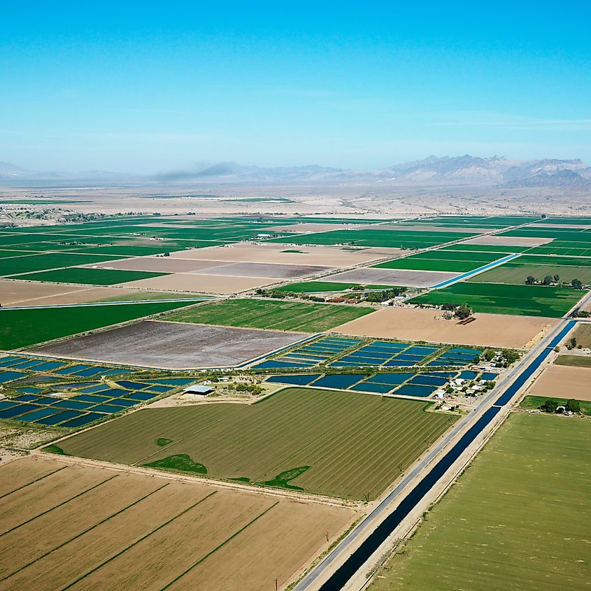 Aerial view of cropland and Colorado River Aqueduct