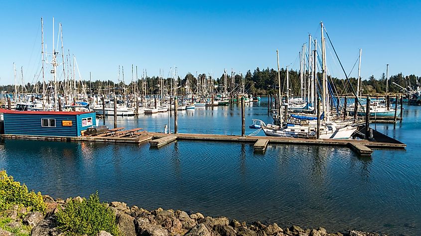 Charleston Marina in Coos Bay, Oregon