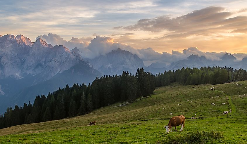 The Julian Alps on the Italy-Slovenia border.