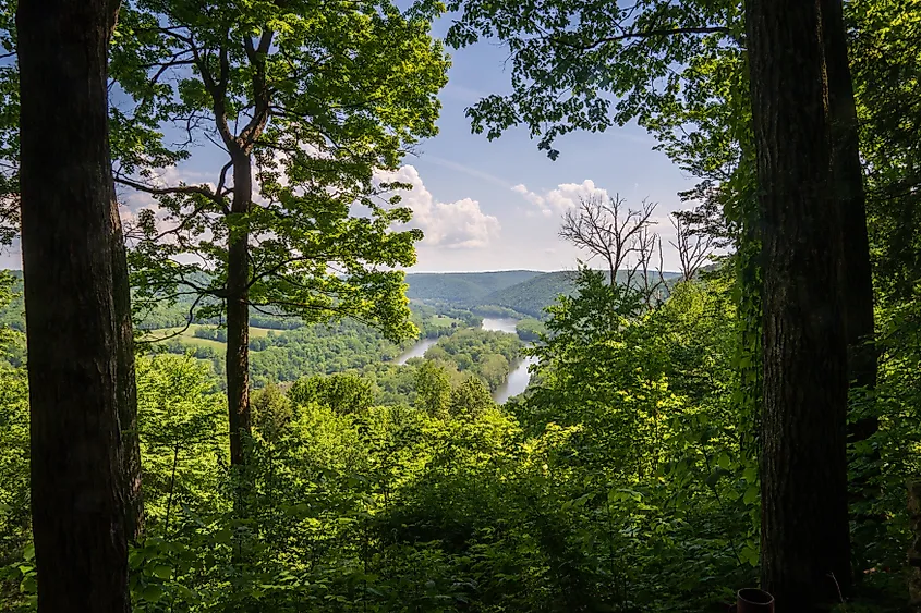 Allegheny National Forest Overlook of the Allegheny River in Pennsylvania.