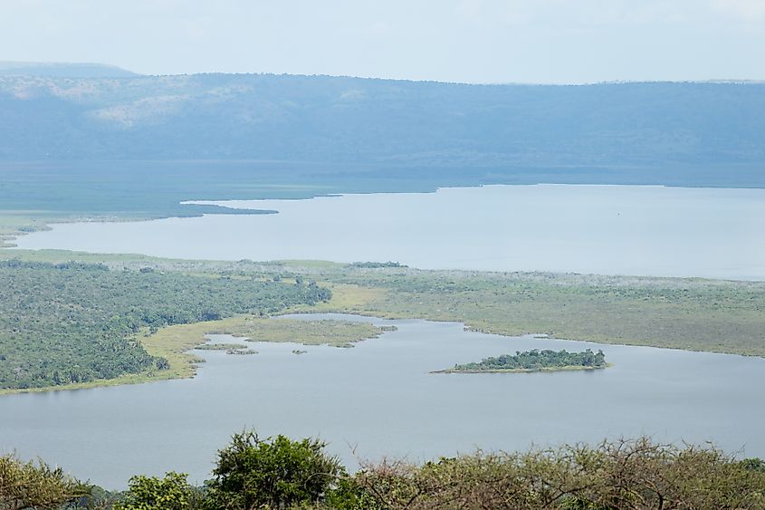 The marshland surrounding Lake Ihema.