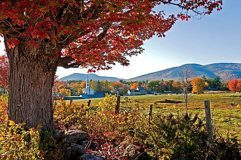 Vibrant fall foliage in the scenic town of Tamworth, New Hampshire.