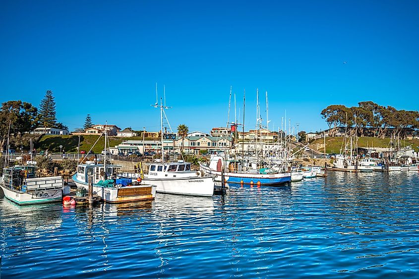 View of the Morro Bay and the boats in the harbor on a sunny day.