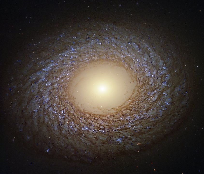 Galaxy