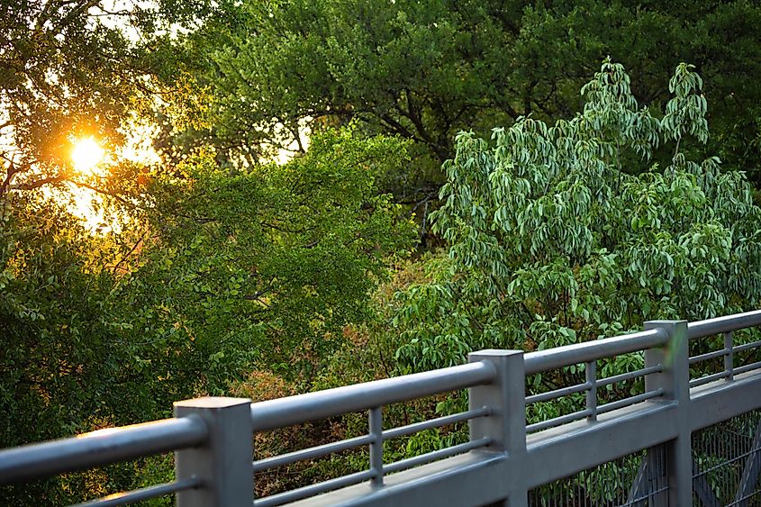 Sunset as Seen from the Metal Bridge in Arbor Hill's Natural Preserve