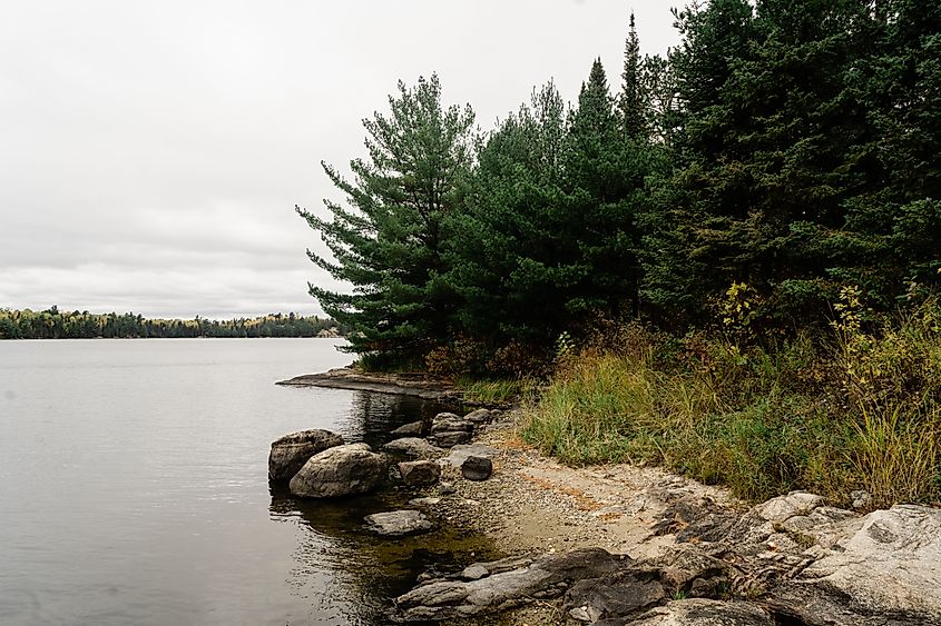 A lakefront view of Voyageurs National Park.