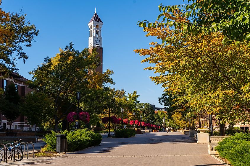Fall foliage in West Lafayette, Indiana.
