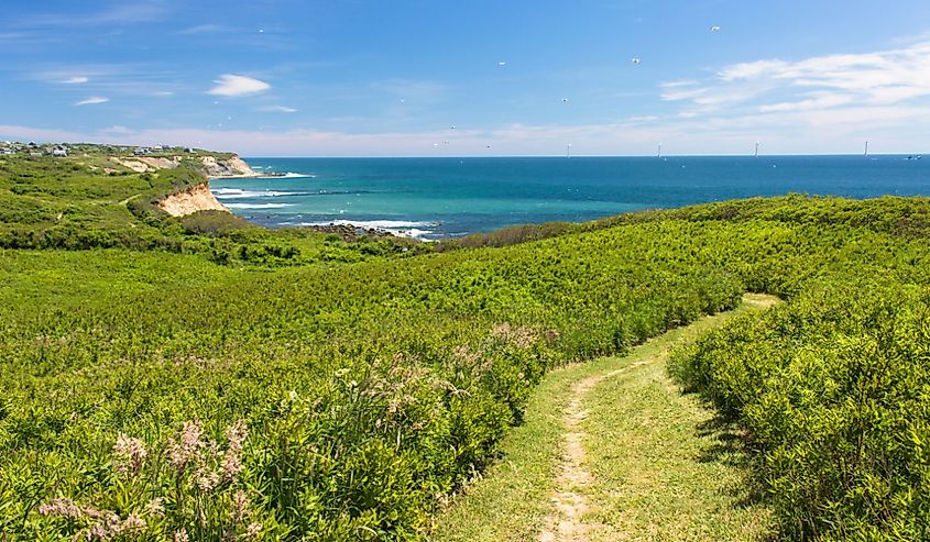 Walking trail on Block Island, Rhode Island in early summer