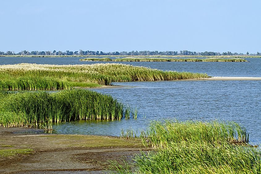 A marshy area inside Quivira National Wildlife Refuge in Kansas