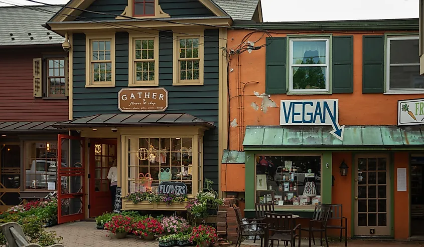 Downtown shops in Frenchtown, New Jersey.