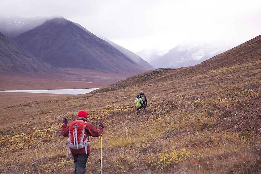 A scenery of people walking in the beautiful Gates of the Arctic National Park