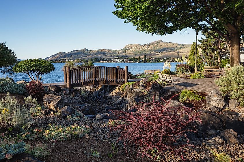 Garden by the Lake on an early morning during sunrise. Taken in Osoyoos, British Columbia, Canada.