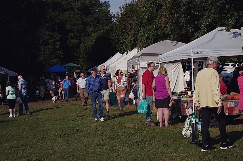 People shopping at a local farmer's market in Madison, Alabama