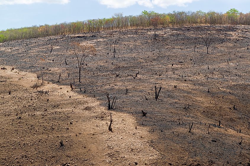 Deforestation can also lead to drought