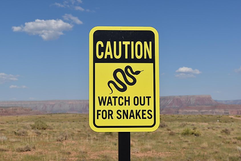 grand canyon snake warning