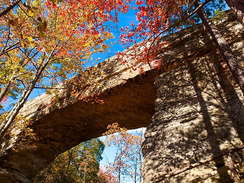 Natural Bridge in Slade, Kentucky, surrounded by fall-colored trees.