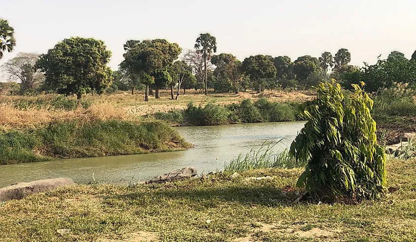 African Stream River Kaduna 