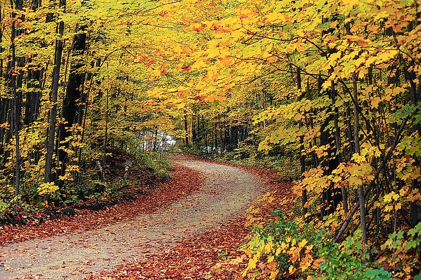 The Hapgood Pond Recreation Area of the Green Mountain National Forest displays its fall foliage splendor.