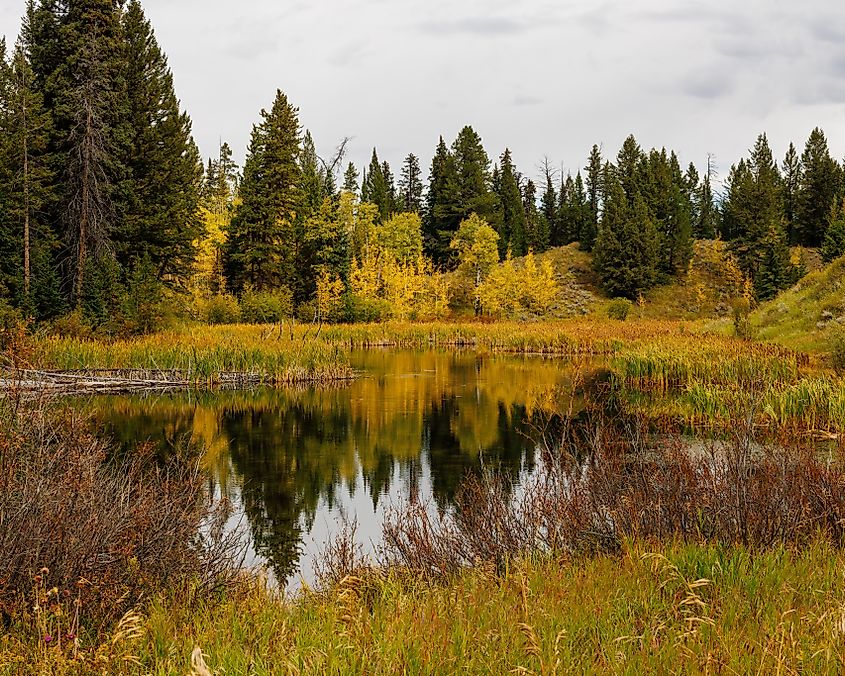 Marys Lake in the Bridger Teton National Forest in western Wyoming during early fall.