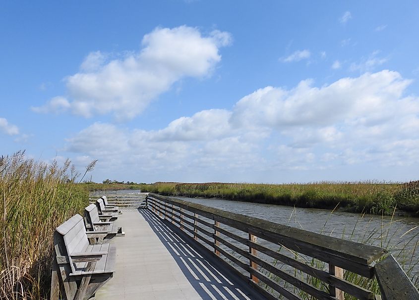 Bombay Hook National Wildlife Refuge, in Kent County, Smyrna, Delaware