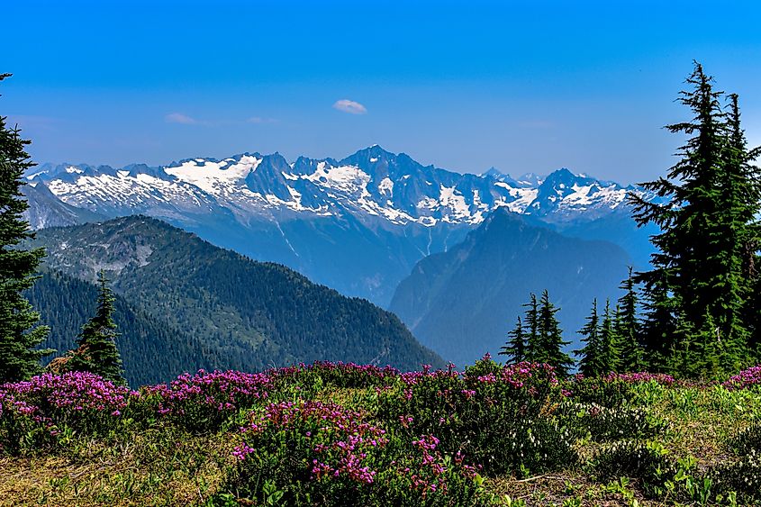 The North Cascades National Park is known for its stunning beauty.