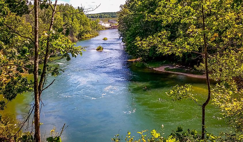 Overlooking Manistee river from the MRT path through the trees