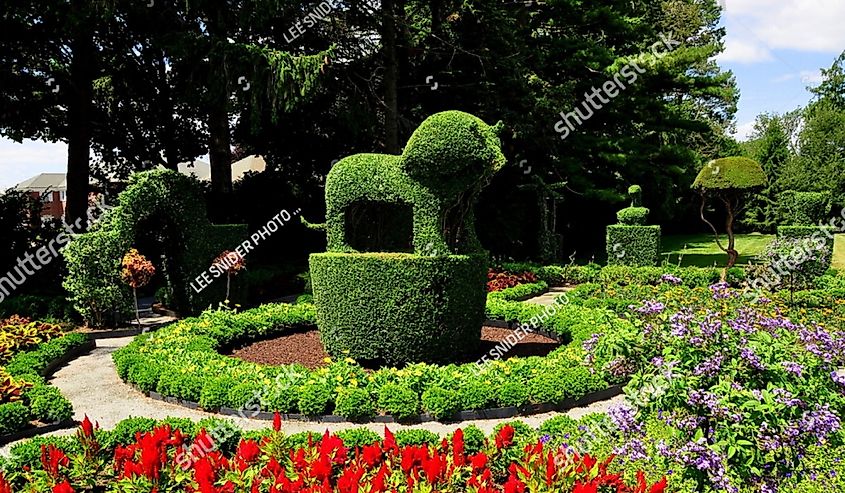 A regal topiary lion surrounded by colorful annuals at Green Animals Topiary Gardens
