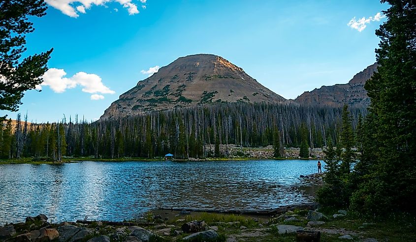 Beautiful small lake in the middle of the Uintah forest on a warm summer day in Duchesne County, Utah