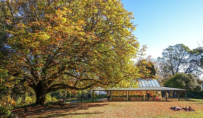Conservatory at Wombat Hill Botanic Gardens on a sunny autumn day. 