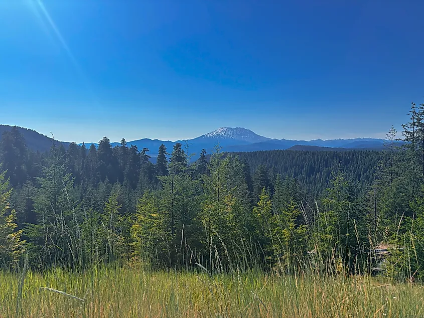 McClellan Viewpoint, Gifford Pinchot National Forest, located off Curly Creek Road, Skamania County, Washington.