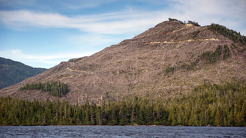 Clearcut mountain in Tongass National Forest.