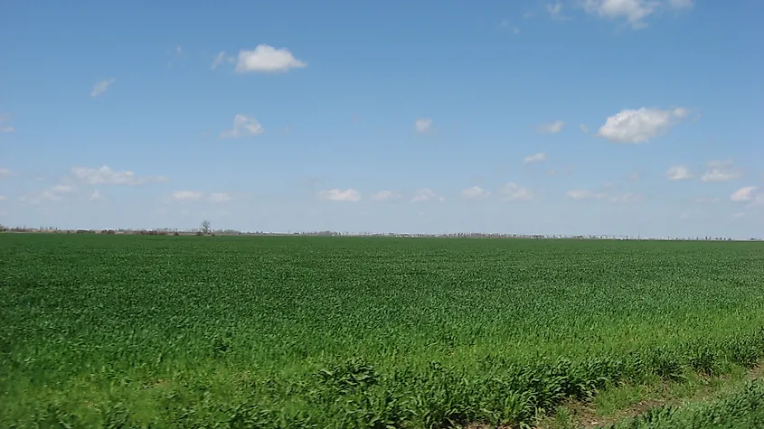 A typical Bootheel scene, the Mississippi floodplain in southern Pemiscot County.