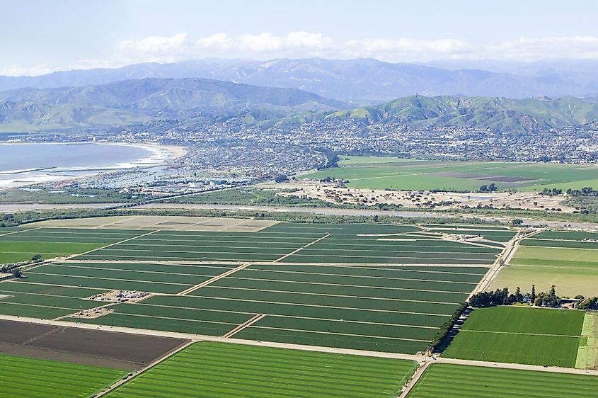 Aerial view of Oxnard farm fields in spring in Oxnard, Ventura County, California