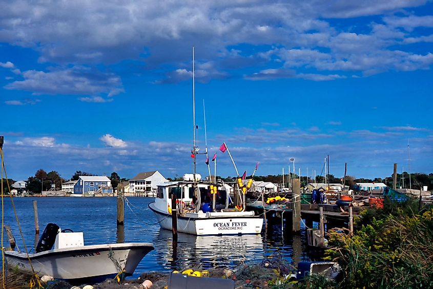 Fishing boats at a dock in Ocracoke Village, Ocracoke Island, Outer Banks, North Carolina