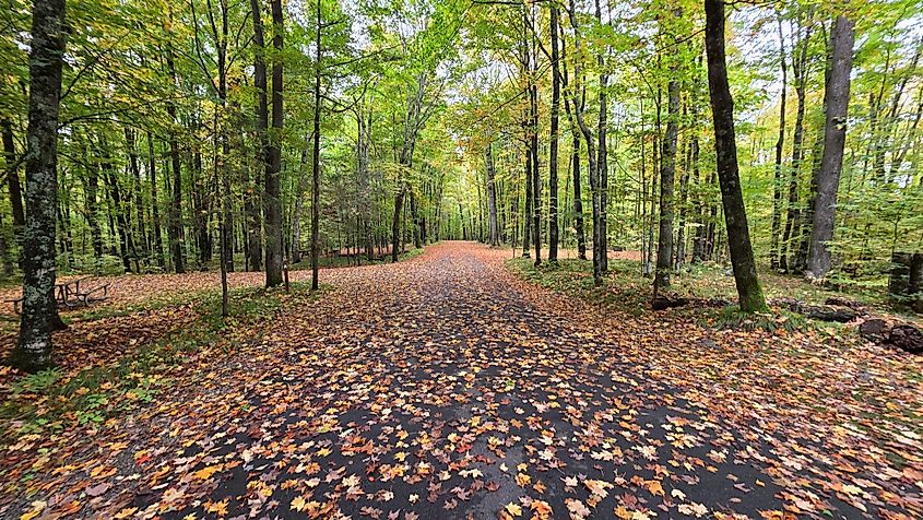Kentuck Lake Campground in the Eagle River-Florence District of the Chequamegon-Nicolet National Forest. 