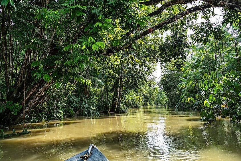 River boat tour on the Guamá River in Belém do Pará, Brazil
