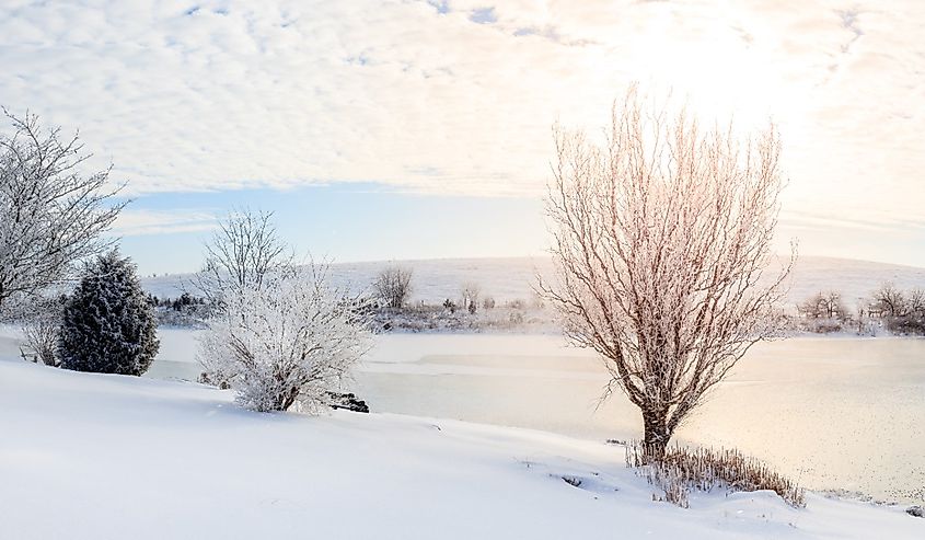 Beautiful winter morning on a small lake near Georgetown, Kentucky