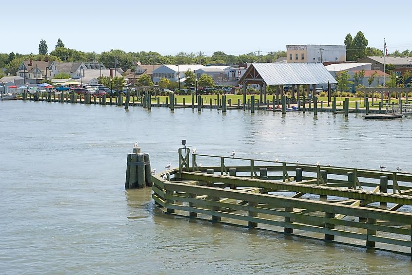 Waterfront in Chincoteague, Virginia with Seagulls and Pilings.