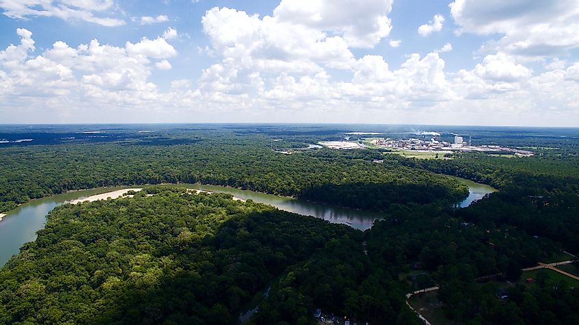 Aerial view of the Altamaha River in Georgia