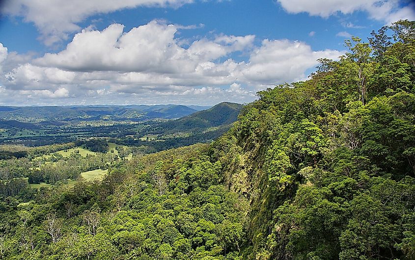 Obi Obi Valley in Mapleton Falls National Park.