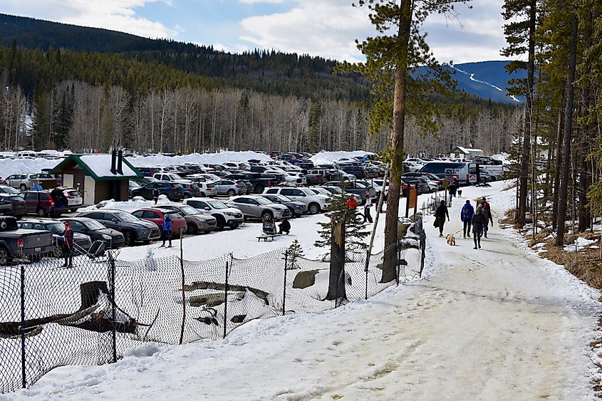 Bragg creek town