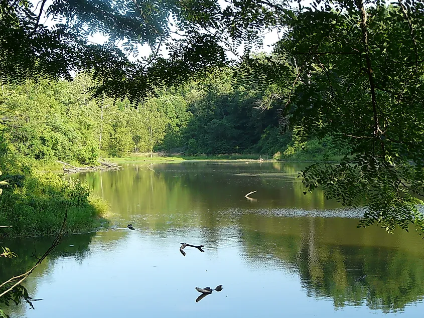 Wilderness Lake, Audubon State Park, Kentucky.