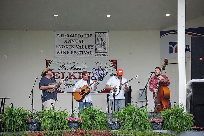 Bluegrass band performing at the Yadkin Valley Wine Festival in Elkins, North Carolina.