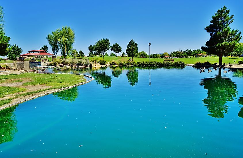 Aliante Nature Discovery Park in North Las Vegas.