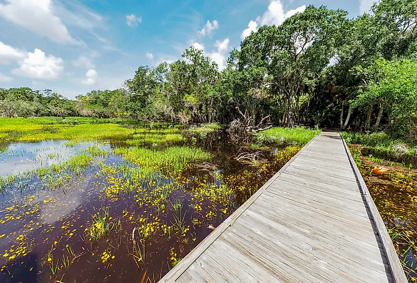 A boardwalk crossing open wetland on the William S. Boylston Nature Trail, Myakka River State Park.